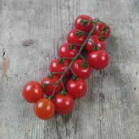 Cherry tomaat Red Bell (Solanum lycopersicum) zaden