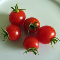 Italiaanse kerstomaat Ciliegia (solanum lycopersicum) zaden