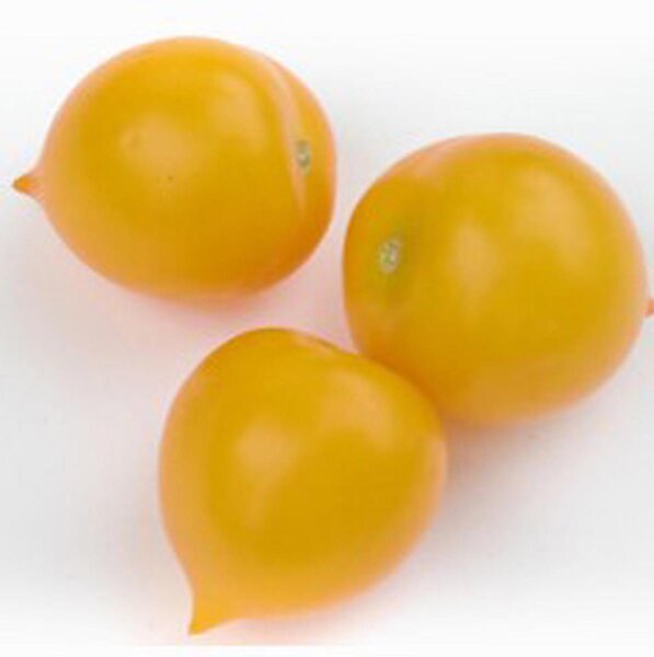 Hangmand tomaat Pendulina Yellow (Solanum lycopersicum) zaden