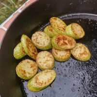 Courgette Tromboncino dAlbenga (Cucurbita moschata) zaden