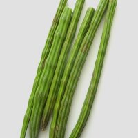 Mierikswortelboom (Moringa oleifera) zaden