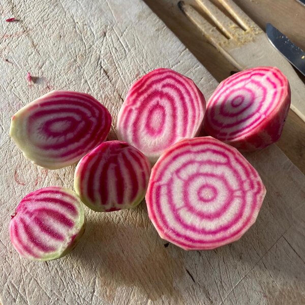 Rode biet Tonda di Chioggia (Beta vulgaris) zaden