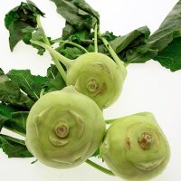 Koolraap Superschmelz (Brassica oleracea var. gongylodes)...