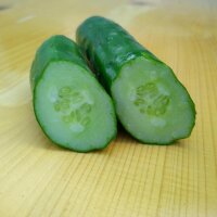 Komkommer Tanja (Cucumis sativus) bio zaad