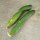 Komkommer Tanja (Cucumis sativus) bio zaad