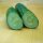Komkommer Tanja (Cucumis sativus) bio zaad