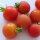 Vroege volle grond tomaat Matina (Solanum lycopersicum) bio zaad