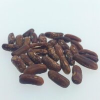 Gewone boon Saxa (Phaseolus vulgaris) bio zaad