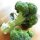 Broccoli Calabrese (Brassica oleracea) zaden