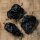Chilipeper Mulato Isleno (Capsicum annuum) zaden