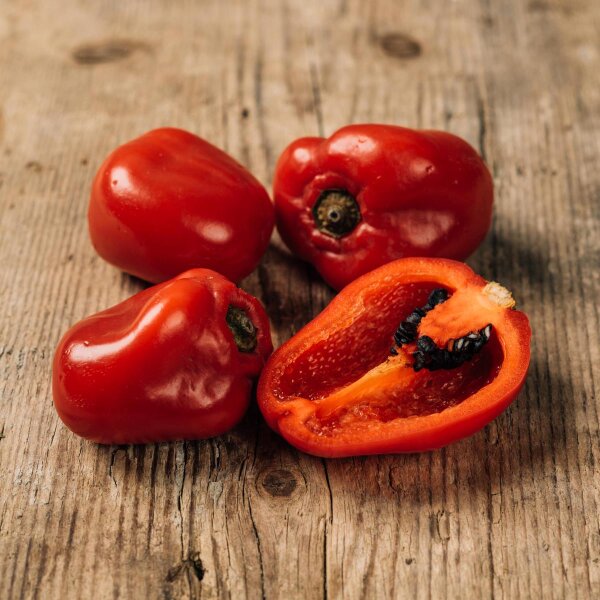 Boomchilipeper Rocoto (Capsicum pubescens) zaden