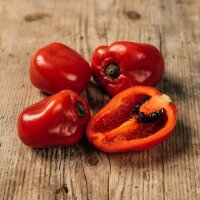 Boomchilipeper Rocoto (Capsicum pubescens) zaden