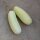 Witte komkommer White Wonder (Cucumis sativus) zaden
