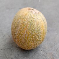 Meloen Blenheim Orange (Cucumis melo) zaden