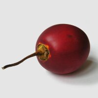 Tamarillo / Boomtomaat (Solanum betaceum) zaden