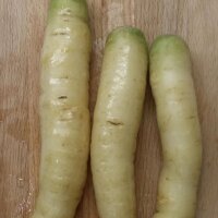 Witte wortel Blanche a Collet Vert (Daucus carota) zaden