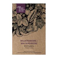 Wilde aardbei / bosaardbei (Fragaria vesca) zaden