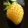 Witte aardbei Yellow Wonder (Fragaria vesca) zaden