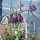 Dambord bloem/Kievitsbloem (Fritillaria meleagris) zaden
