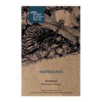 Zoetgras / Veenreukgras (Hierochloe odorata) zaden