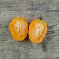 Tomaat Orange Banana (Solanum lycopersicum) bio zaad