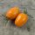 Tomaat Orange Banana (Solanum lycopersicum) bio zaad