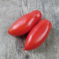 Tomaat San Marzano (Solanum lycopersicum) zaden