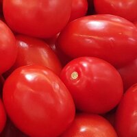 Roma tomaat (Solanum lycopersicum) zaden