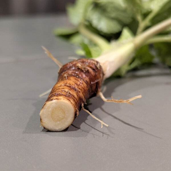 Zwartmoeskervel (Smyrnium olusatrum) zaden