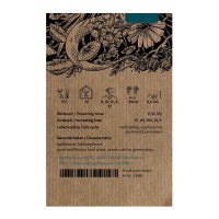 Gewone smeerwortel (Symphytum officinale) zaden