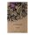 Paardenboon (Vicia faba) zaden