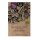Knopkool Purple Sprouting (Brassica oleracea var. italica) bio zaad