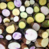 Oude aardappelsoorten-mix (Solanum tuberosum) zaden