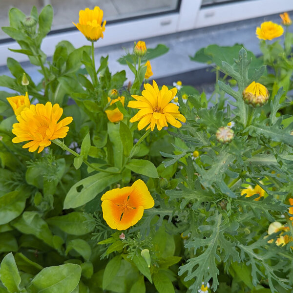 Bloemenboeket in geel