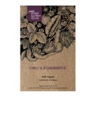 Chilipeper Aji Charapita (Capsicum chinense) zaden