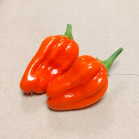Milde chilipeper NuMex Suave Orange (Capsicum chinense) zaden