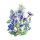 Zomerbloemen in blauw (diverse soorten & variëteiten) zadenmix
