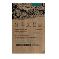 Zomerbloemen in wit (diverse soorten en variëteiten) zaad mix