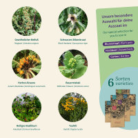 Magische planten: rituele & rookkruiden - zaad set nr. 9