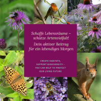 Zonnebloemen: kleurrijke soorten eenvoudig zaaien - zaad set nr. 1