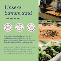 Frauen Kräuter - Traditionelle Kräuter für Balance und Wohlbefinden - Samenset Nr. 32