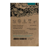 Leeuwenbek Appleblossom  (Antirrhinum majus) zaden