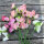 Lichtroze Reukerwt ‘Mollie Rilstone’ (Lathyrus odoratus) zaden