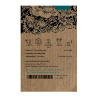 Blauw-violette pronkerwt Lord Nelson (Lathyrus odoratus) zaden