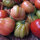Oxheart-tomaat / harttomaat Cuore di bue (Solanum lycopersicum) bio zaad