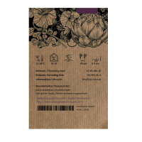 Geel-paarse cocktailtomaat ‘Indigo Pear Drops’ (Solanum lycopersicum) zaden