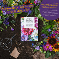 Zelf balkonbloemen zaaien - zaad set nr. 04