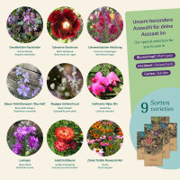 Bloemen nostalgie zoals uit grootmoeders tuin - zaad set...