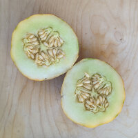 Kajarimeloen (Cucumis melo) zaden