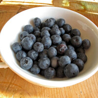 Amerikaanse Blauwe Bes (Vaccinium corymbosum) zaden